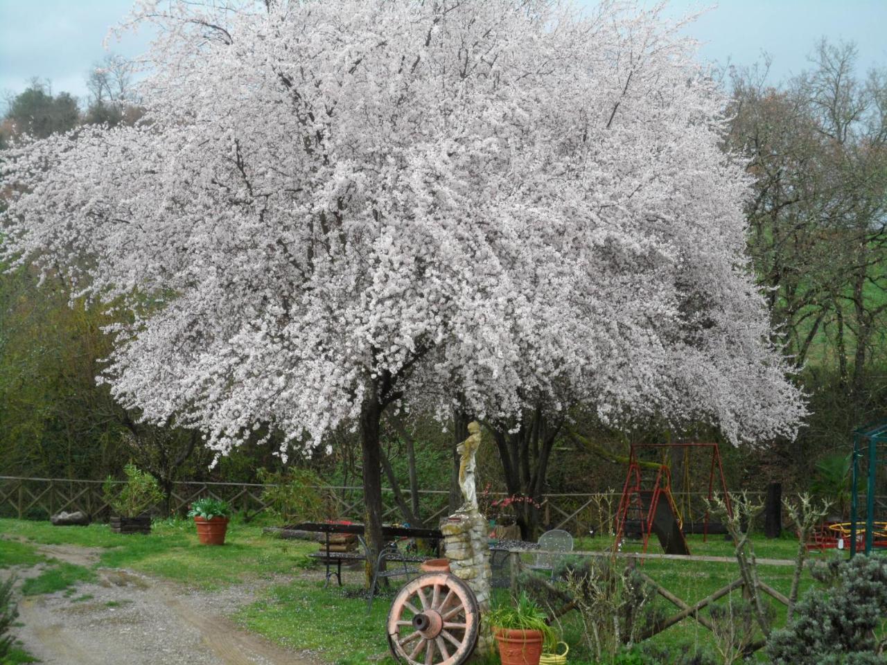 Locanda Delle Noci Perugia Ngoại thất bức ảnh